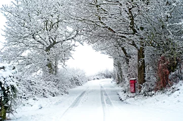 Photo sur Plexiglas Hiver Snowy winter scene