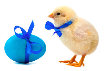 small yellow chick with blue bow and easter eggs