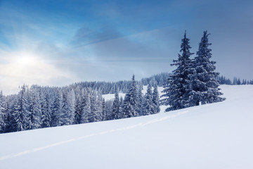 Naklejka premium winter