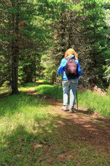 Obraz premium escursionista - hiker in the forest
