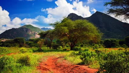 Fotobehang Rode grondweg, struik met savanne. Tsavo West, Kenia, Afrika © Photocreo Bednarek