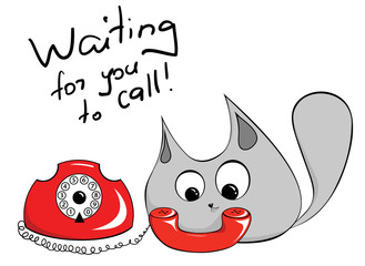 Grey cat next to red vintage telephone waiting for a call
