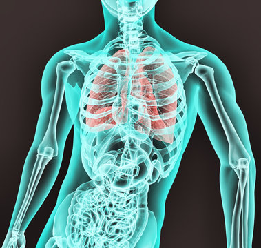 Radiografia aparato respiratorio,estomago