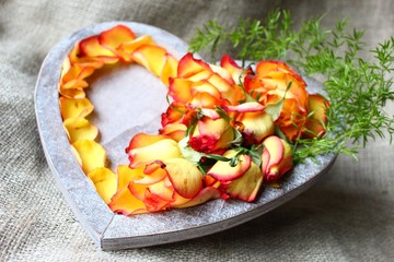 rosen zum muttertag