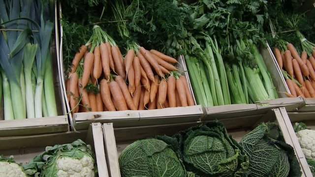 legumes