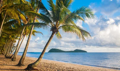 Deurstickers Tropisch strand met palmbomen © Johan Larson