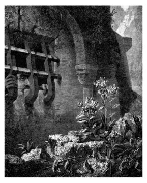 Poor Prisoner - R&ecirc;ve d'&Eacute;vasion