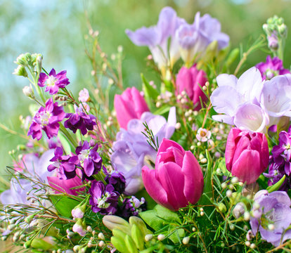 Fr&uuml;hlingserwachen: Bl&uuml;tentraum in lila und pink
