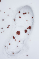 blutiger fußabdruck im schnee