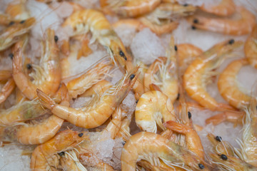 garnelen,eis,fischh&auml;ndler