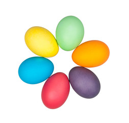 eggs