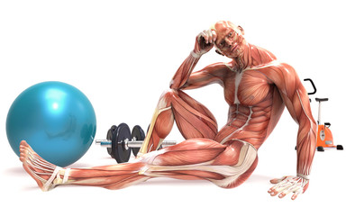 Cuerpo humano haciendo deporte