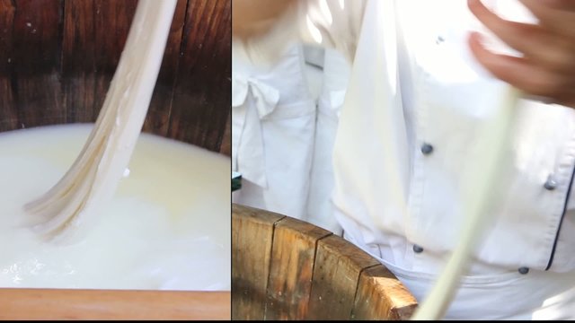 mozzarella di bufala