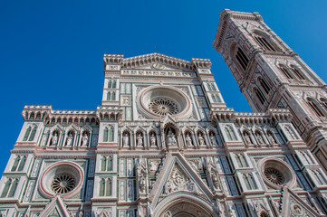 Fototapeta premium cathédrale firenze duomo campanile