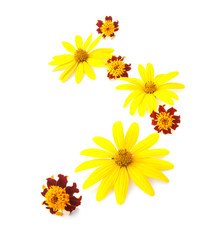 Yellow flowers ornament isolated on white background