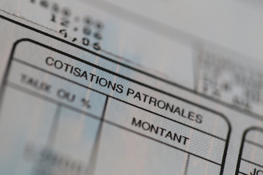 D&eacute;tail Bulletin : Cotisations Patronales