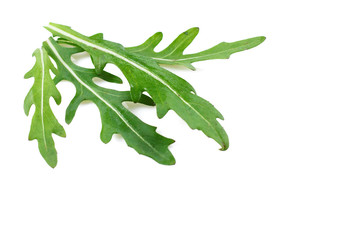 leaves of arugula salad isolated on white background