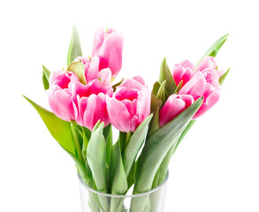 Bouquet of pink tulips in vase