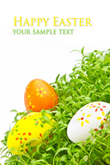 Decorative easter eggs in a grass