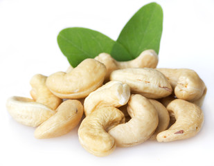Cashew