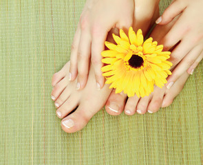 Young woman touching her legs with yellow gerbera