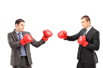 Two young businessmen with boxing gloves having a fight