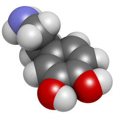 Dopamine neurotransmitter molecule, chemical structure