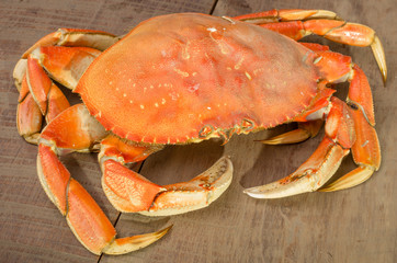 Dungeness crab ready to cook