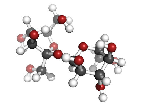 Sugar (sucrose, saccharose) molecule, chemical structure