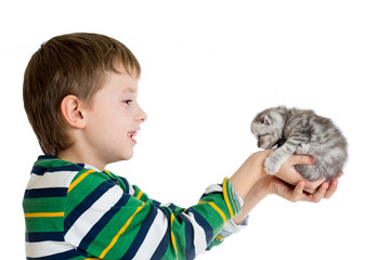 kid boy with kitten isolated on white background