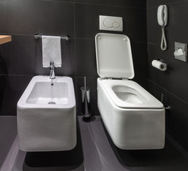 Modern toilet and bidet in bathroom