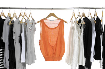 Set of fashion female clothing hanging on hangers