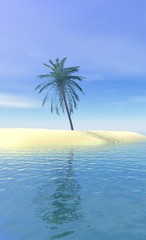 Obraz na płótnie Canvas plage et palmier