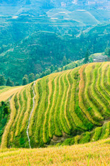 Rice field on terraced in mountain.