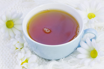 cup with hot tea and flowers of camomile