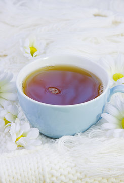 cup with hot tea and flowers of camomile