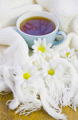 cup with tea on the knitted woolen and flowers of camomile