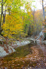small mountain river