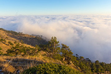 evening mountain scene