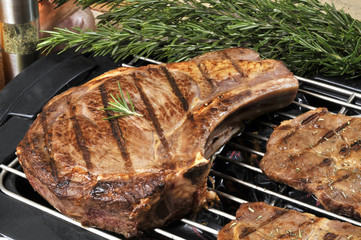 côte de boeuf 2 © SOLLUB