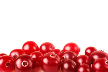 Ripe cranberry isolated