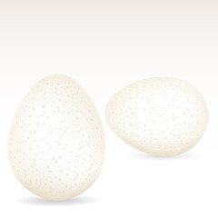 white speckled eggs
