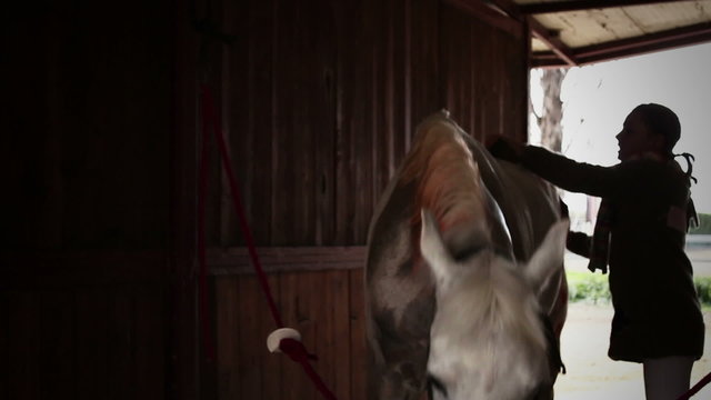 woman who brushing a white horse