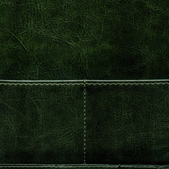 Fototapeta premium green leather texture, stitch