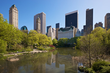 Fototapeta na wymiar Nowy Jork widziany z Central Parku