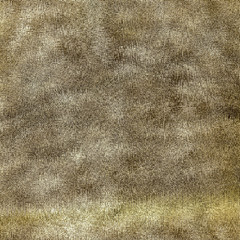 abstract texture
