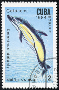 stamp printed in Cuba shows image of a Common dolphin