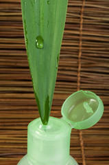 Green cosmetic bottle and leaf