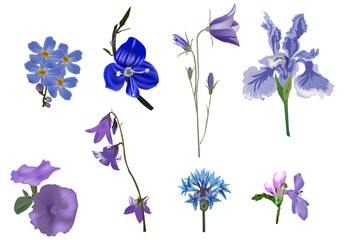 set of eight blue flowers isolated on white