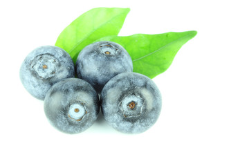 Fresh blueberry